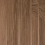 American Black Walnut
