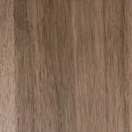 American Black Walnut - Image 2