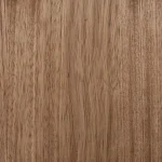 Little Zebra - Image 2