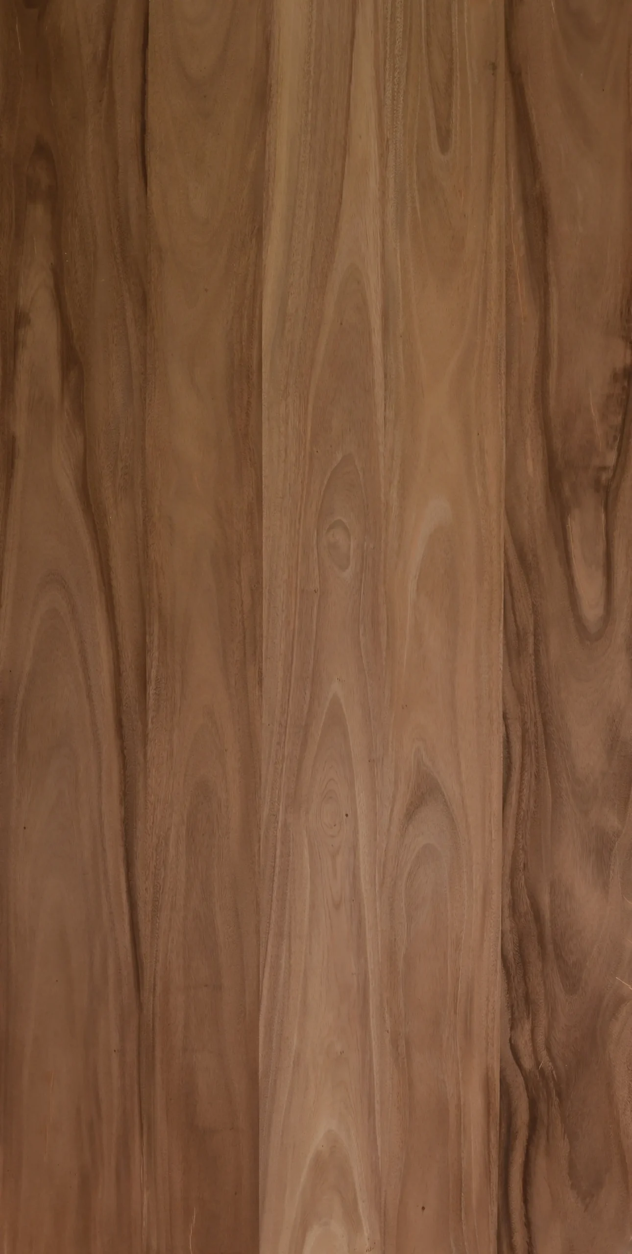 Discover The Allure Of Saman Wood: A Comprehensive Guide - s8yvyra